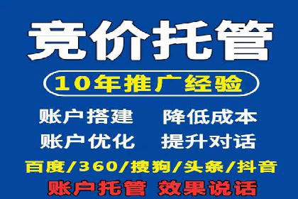 谷歌竞价广告的实时监控与调整策略——某公司经验分享